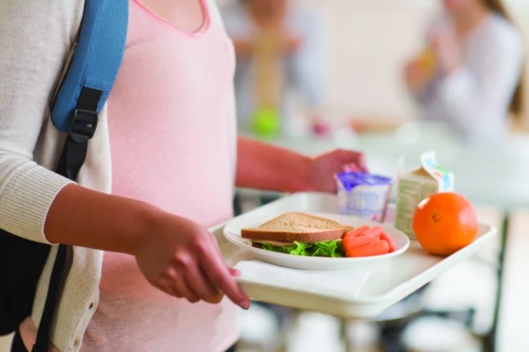 Income Guidelines for Free and Reduced-Price Meals